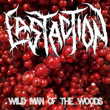 Wild Man of the Woods by Last Action - album cover