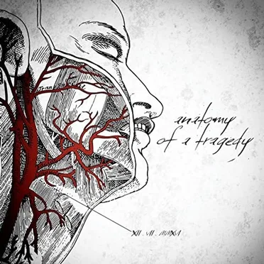 Anatomy of a Tragedy