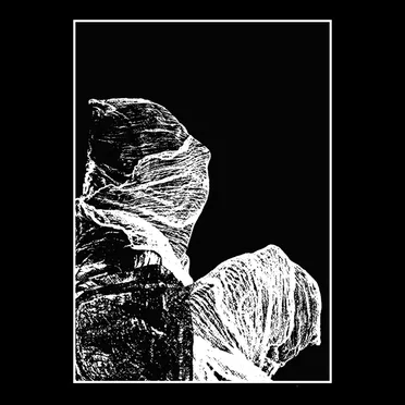 Burial Shroud by Maligna Cerebra - album cover