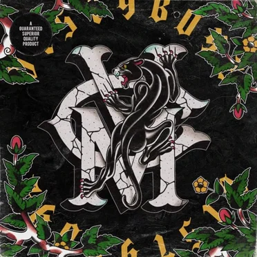 VISTY BOYZ by Vismajor - album cover