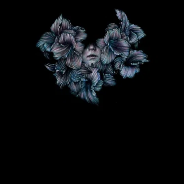 DIVISI by A Lot Like Birds - album cover