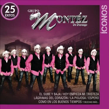 Íconos