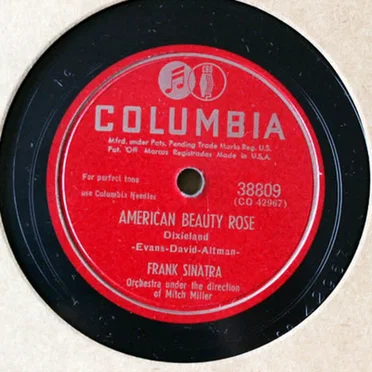 American Beauty Rose / Just an Old Stone House