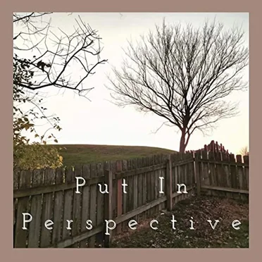 Put in Perspective by CometStudios - album cover