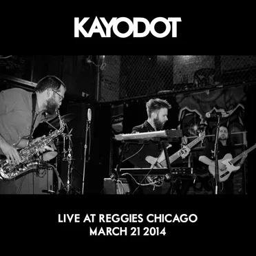Live at Reggie’s Chicago, March 21 2014