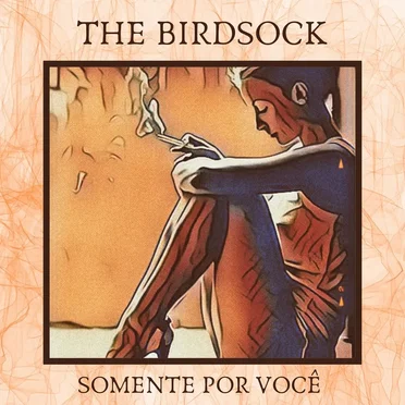 The BirDSock