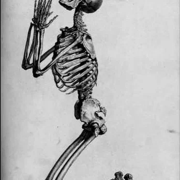 Blasphèmes et cultes morbides