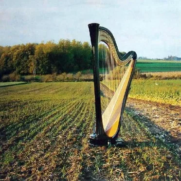Educes Me by Wim Mertens - album cover