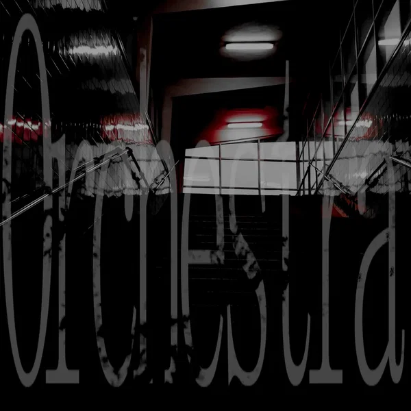 Orchestra