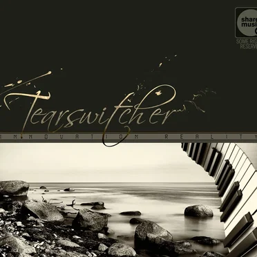 Tearswitcher by Innovation Reality - album cover