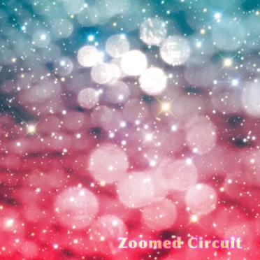 Zoomed Circuit
