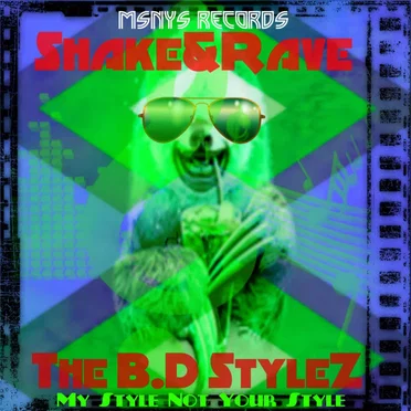 Shake&Rave by The B.D StyleZ - album cover