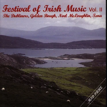 Festival of Irish Music, Vol. II by Various Artists - album cover