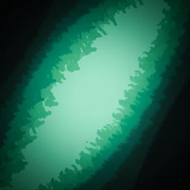 the spirits that call out to me