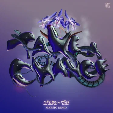 Take a Chance (Maesic remix)