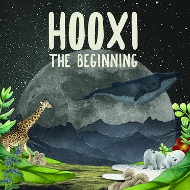 Hooxi, The Beginning by Various Artists - album cover