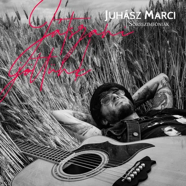 Sorsszimfóniák by Juhász Marci - album cover