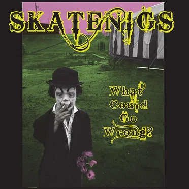 What Could Go Wrong? by Skatenigs - album cover
