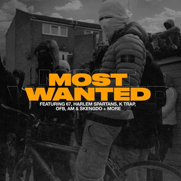 Most Wanted by Various Artists - album cover