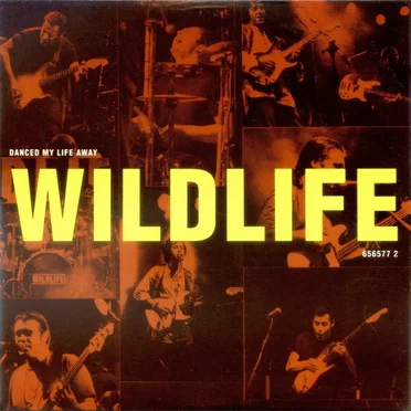 Danced My Life Away by Wildlife - album cover