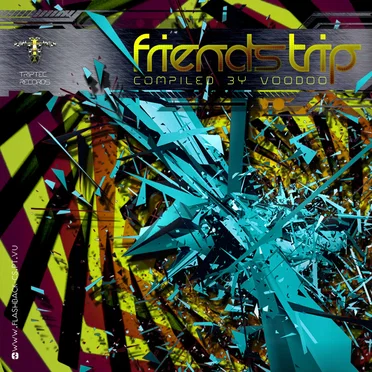 Friends Trip by Various Artists - album cover