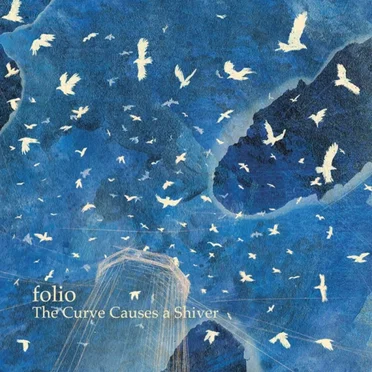 The Curve Causes A Shiver by Folio - album cover
