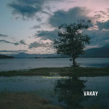 Detente (Radio Edit) by DjVakay - album cover