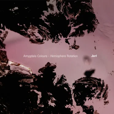 Amygdala Colours - Hemisphere Rotation