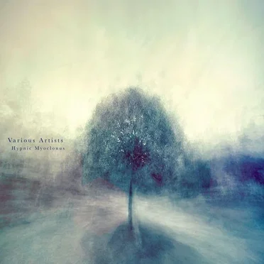 Hypnic Myoclonus by Various Artists - album cover