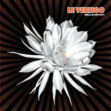 Belle de nuit by Le Vertigo - album cover