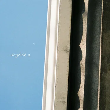 dagbók 4