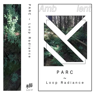Loop Radiance