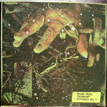 Bothered by Tovah Olson - album cover