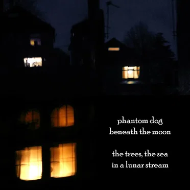 Phantom Dog Beneath the Moon