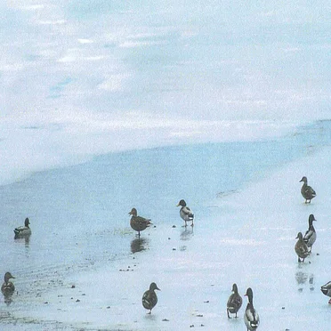 Untitled (Ocean)