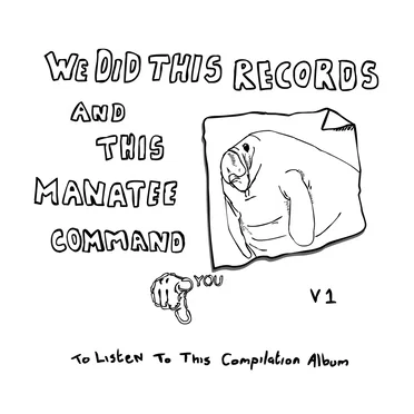 We Did This Records, Volume 1 by Various Artists - album cover