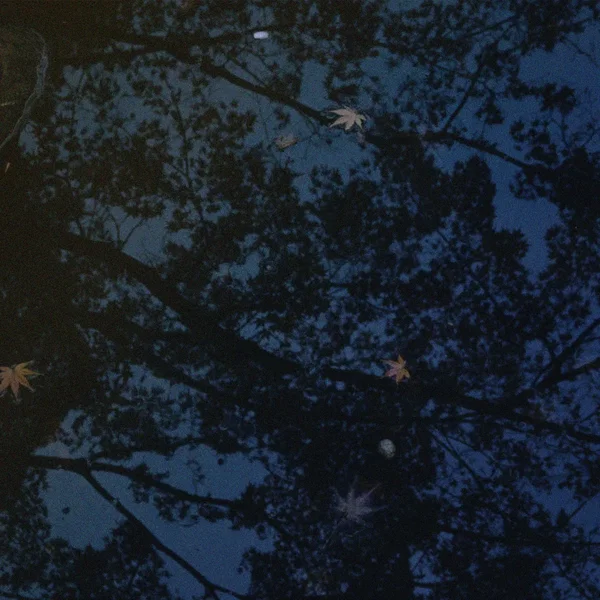 Watermirror