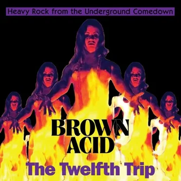 Brown Acid: The Twelfth Trip by Various Artists - album cover