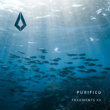 Purified Fragments XX by Various Artists - album cover
