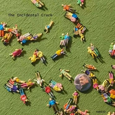 Detail by The Incidental Crack - album cover