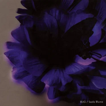 Seele Blume