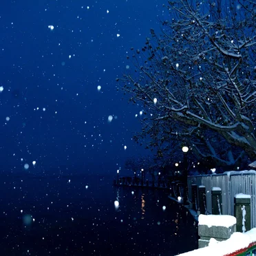 Elegy for Snow