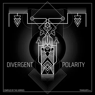 Divergent Polarity by Various Artists - album cover
