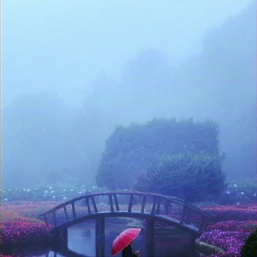 Petrichor Prefecture