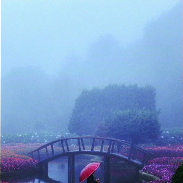 Petrichor Prefecture