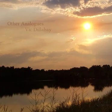 Other Analogues