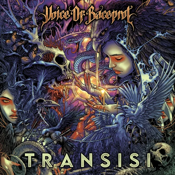 TRANSISI