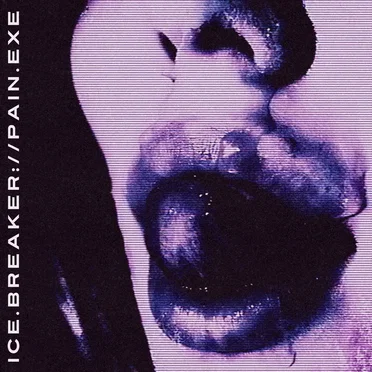 PAIN.EXE by ICE.BREAKER - album cover