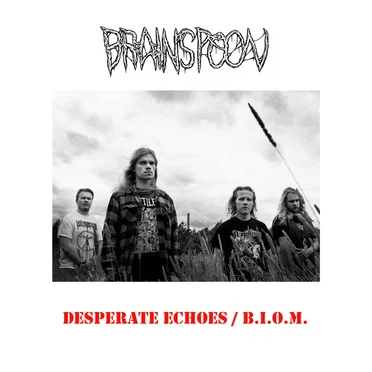 Desperate Echoes / B.I.O.M. by Brainspoon - album cover