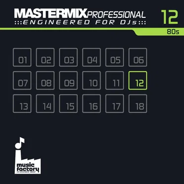 Mastermix Professional Engineered for DJs 12: 80s by Various Artists - album cover